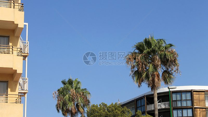 旅游公司报价明细，揭秘隐藏在数字背后的秘密
